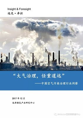 中國大氣污染治理行業 政策驅動與技術革新下的發展洞察